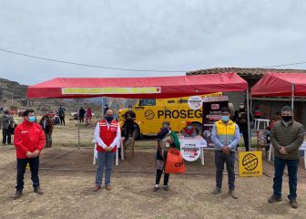 Segundo Bono Familiar Universal: revisa ahora si te toca ahora cobrar en la Fase 2 en los carritos pagadores