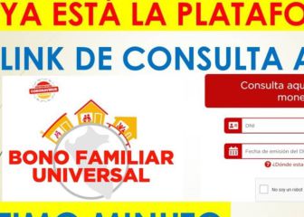 Bono Familiar Universal: link y cómo ver con DNI quién puede cobrarlo hoy, 29 de enero