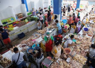 Cuarentena en Perú: qué actividades si pueden realizar y cuáles no sin el pase laboral