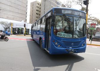 Día del Padre inmovilización Perú: cuáles serán los horarios del transporte público durante el domingo
