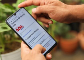Bono 600 soles: cómo saber si lo puedo cobrar y requisitos