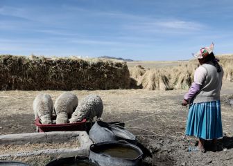 Pensiones AFP: cuál es la nueva edad de jubilación anticipada y requisitos