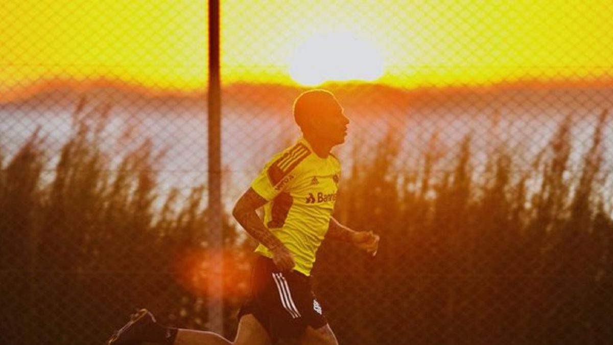 Guerrero vuelve a las canchas - Vimarsana News