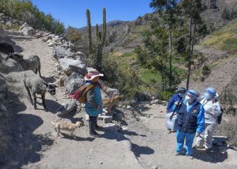 Bono 350 soles: requisitos, beneficiarios y cuándo se pagaría el beneficio