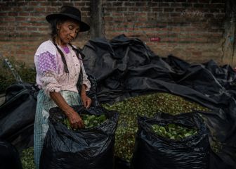 Bono Familiar, Yanapay y 600 soles | Link y cómo ver con cuenta DNI quién puede cobrarlo, 24 de septiembre