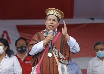 ¿Qué ha dicho Pedro Castillo sobre la industrialización de la hoja de coca?