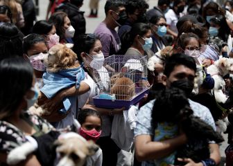 Toque de queda hoy, 15 de octubre, en Perú: a qué hora comienza, hasta cuándo es y multas por salir