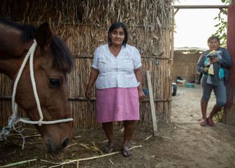 Bono Yanapay, Familiar y 600 soles | Link y cómo ver con cuenta DNI quién puede cobrarlo, 1 de noviembre
