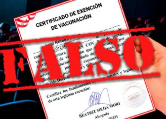 Carnet de vacunación: qué es el certificado de Exención y por qué no es válido