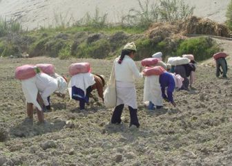 Bono agrario: de cuánto será este nuevo subsidio y quiénes podrán acceder a él