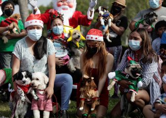 Toque de queda hoy, 17 de diciembre, en Perú: a qué hora comienza, hasta cuándo es y multas por salir