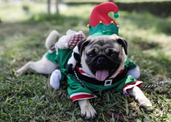 Bono Yanapay, Familiar y 600 soles | Link y cómo ver con cuenta DNI quién puede cobrarlo hoy 26 de diciembre