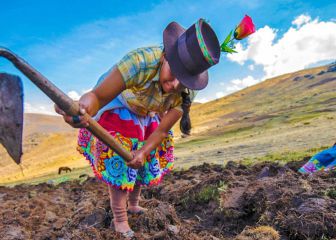 Bono Wanuchay de S/350: requisitos, beneficiarios, cómo solicitar y fechas de pago