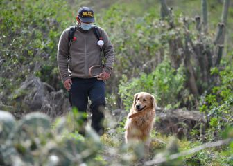 Bono Yanapay, Wanuchay, S/210 y Escolaridad | Link y consultar cuenta DNI quién cobra hoy, 13 de febrero