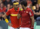 Nadal y Verdasco sellan la permanencia en segunda