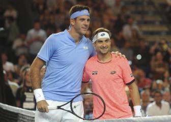 Del Potro sigue enrachado y vence a Ferrer en Argentina