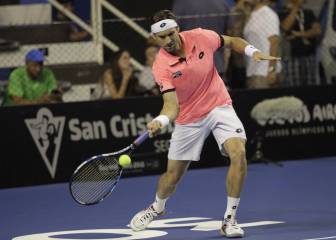 David Ferrer: ¿con capacidad para volver a ser un top-10?