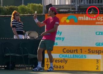 La interrupción más rara del tenis: una iguana en la pista
