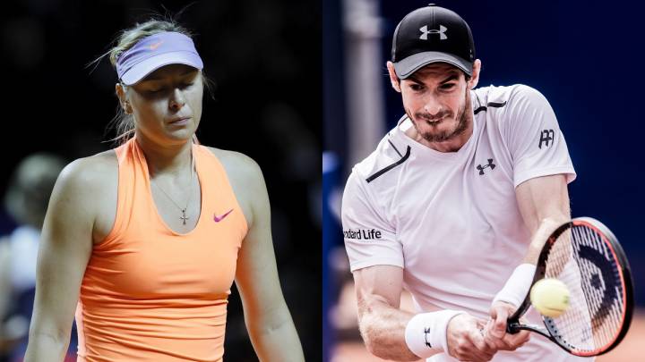 Andy Murray criticó que los torneos del Grand Slam quieran concederle invitaciones para competir a Maria Sharapova.