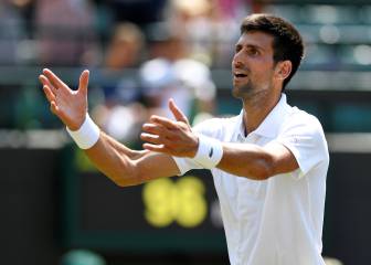 Djokovic barre a Pavlasek y Del Potro cae y sale de su camino