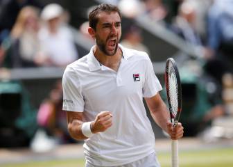 Cilic vence a Querrey y jugará su segunda final de Grand Slam