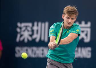 Goffin suma su primer título del año en el toreno de Shenzhen