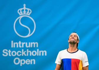 Del Potro deja sin final a un gran Verdasco en un partidazo
