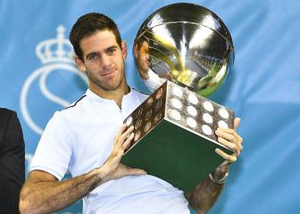 Del Potro derriba a Dimitrov y reválida el título en Suecia