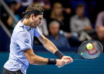 Del Potro frena la remontada de Bautista y va a por el Masters