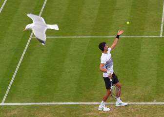 Djokovic también es baja en Doha por sus dolores en el codo