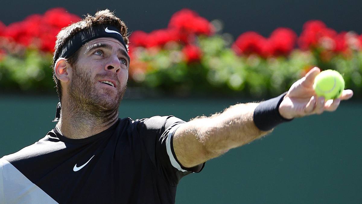 Del Potro bate a Raonic y jugará con Federer la final