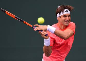 Ferrer sigue firme y anticipa un duelo de Davis ante Zverev