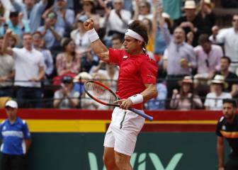 Ferrer abre la puerta grande y lleva a España a semifinales