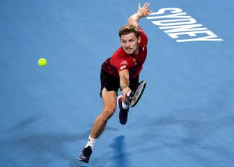 Goffin vuelve a entrenar: 