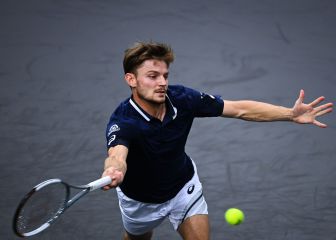 Goffin y Pliskova cambian de entrenadores para 2021