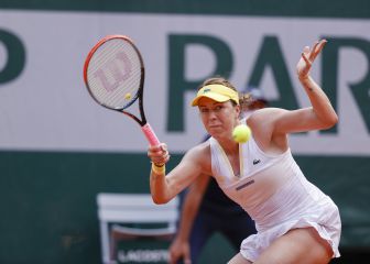 Pavlyuchenkova encuentra a los 29 el premio de una gran final