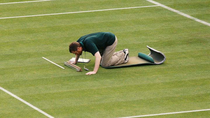 Curiosidades de Wimbledon: lo que hay que saber