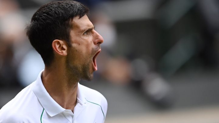 Novak Djokovic celebrates a point during his match against Matteo Berrettini in the Wimbledon final.