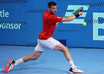 Martínez no puede con Cilic