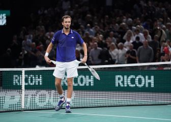 Medvedev y la celebración del elefante: 