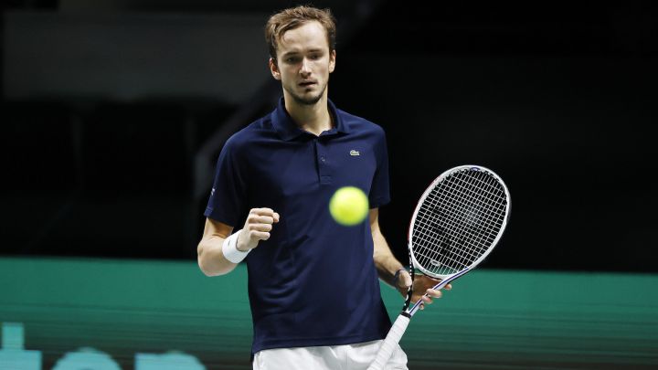 Daniil Medvedev celebrates a point during his match against Pablo Carreño in the tie between Spain and the Russian Tennis Federation in the Davis Cup finals.