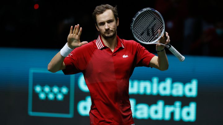 Medvedev's celebration after winning his Davis Cup match against Germany.