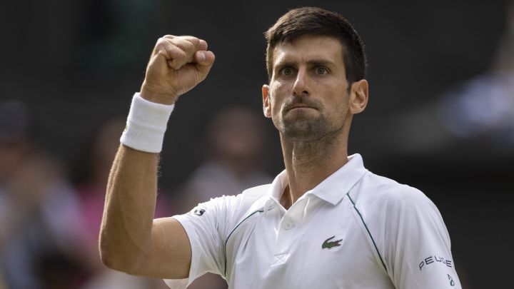 ¿Es justa la liberación de Djokovic que le acerca al Open de Australia?