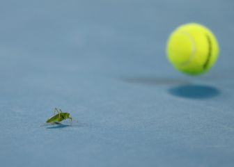 Un espectador inesperado durante el Fritz-Tsitsipas