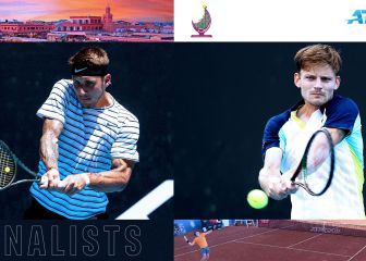 Goffin vuelve a una final en tierra siete años después