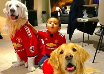 Los perros de Alexis también se hacen del Manchester United