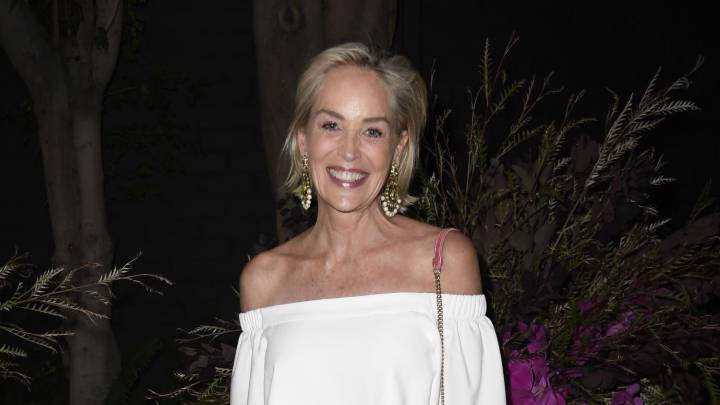 Sharon Stone Se Sincera Sobre El Ictus Que Cambio Su Vida Lo