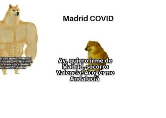 Memes, las imágenes más graciosas de las noticias del deporte - Tikitakas -  AS.com
