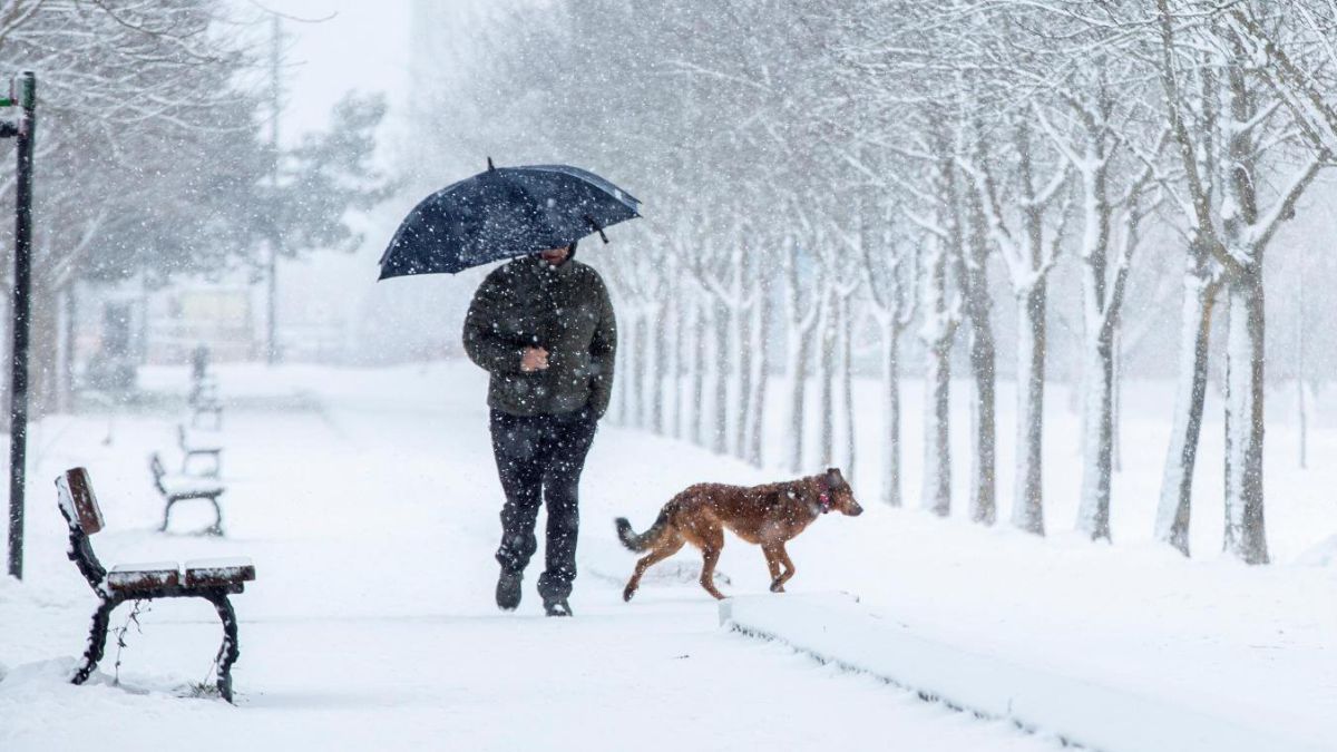 Las impresionantes nevadas caídas en España