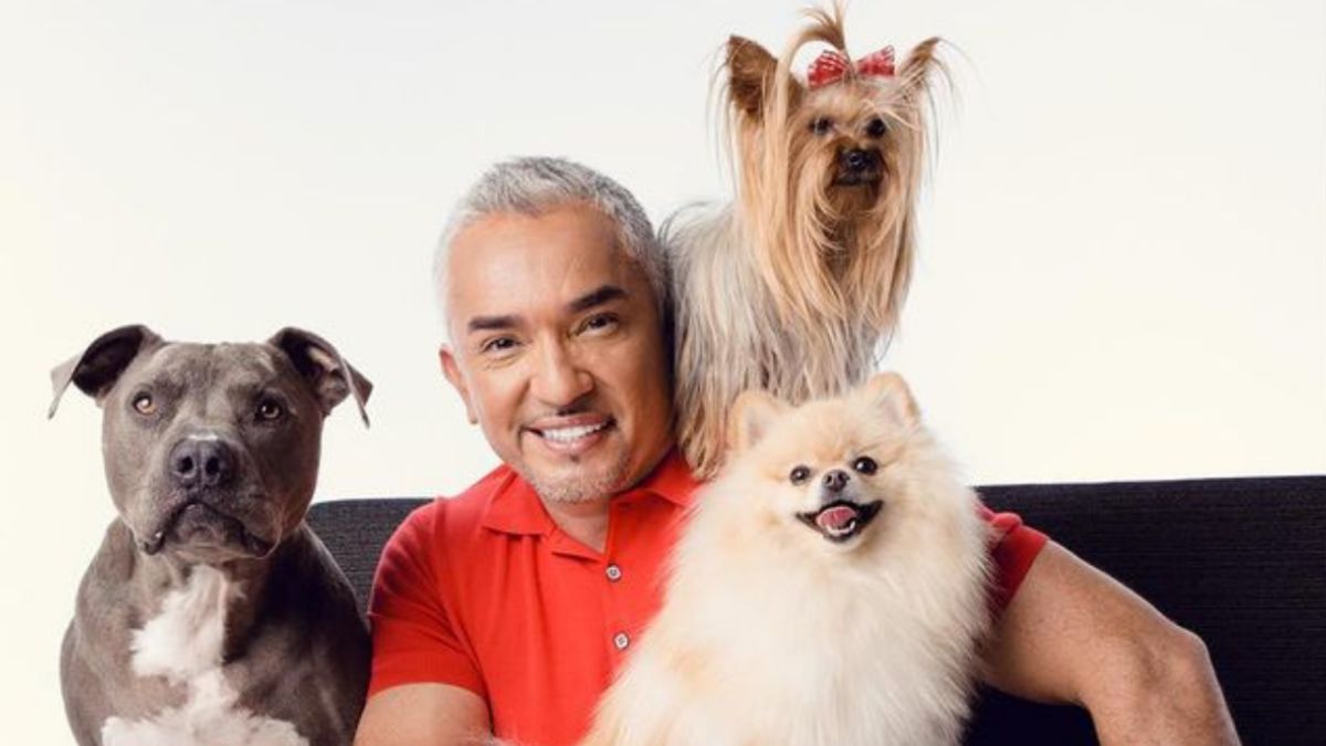 Cesar Millan Le Pega A Un Perro